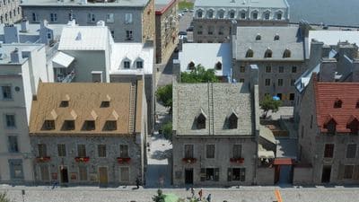  Allocation de logement familiale APL CAF appartement 